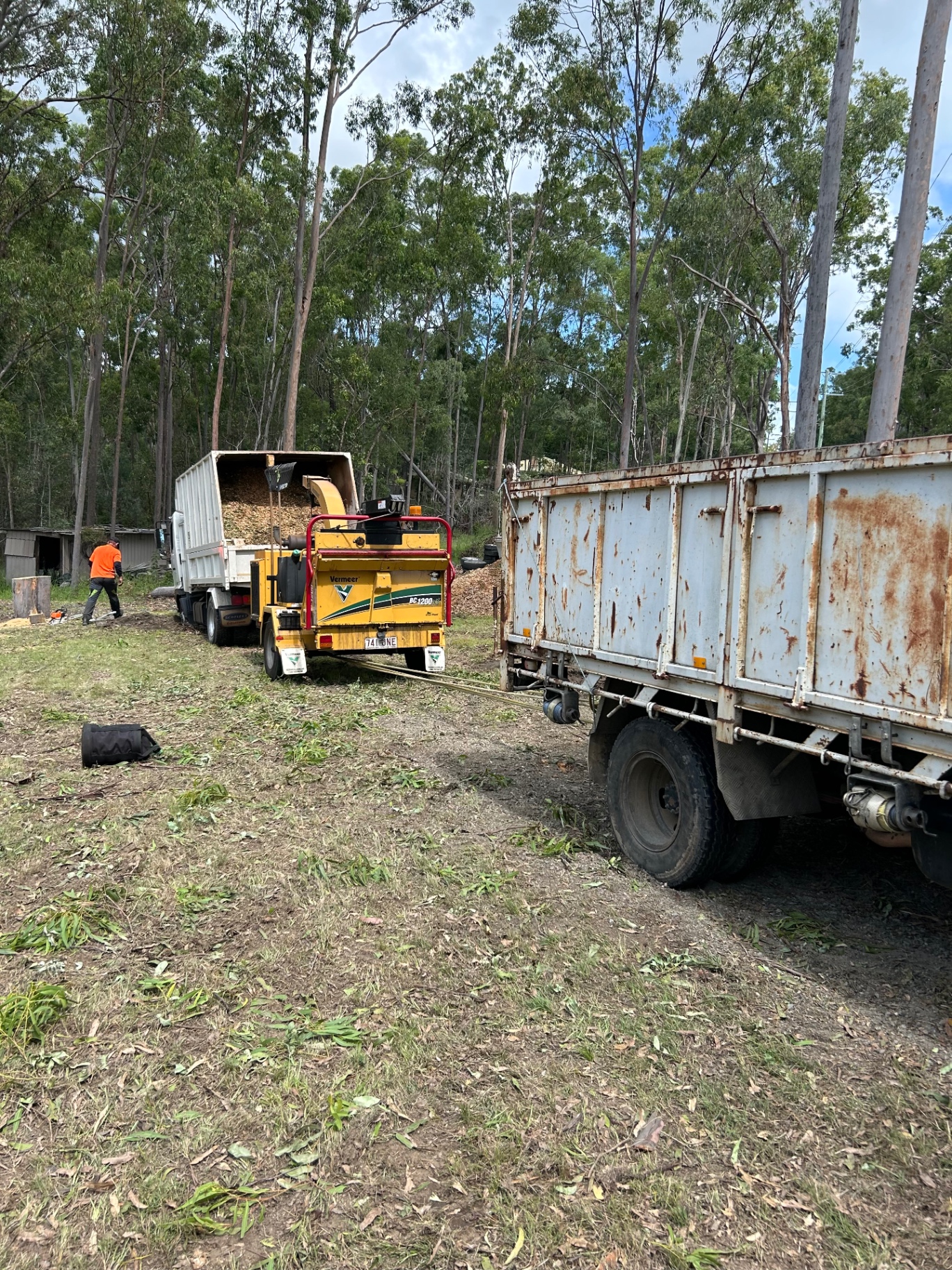 Tipper truck and Vermeer wood chipper clearing a job site